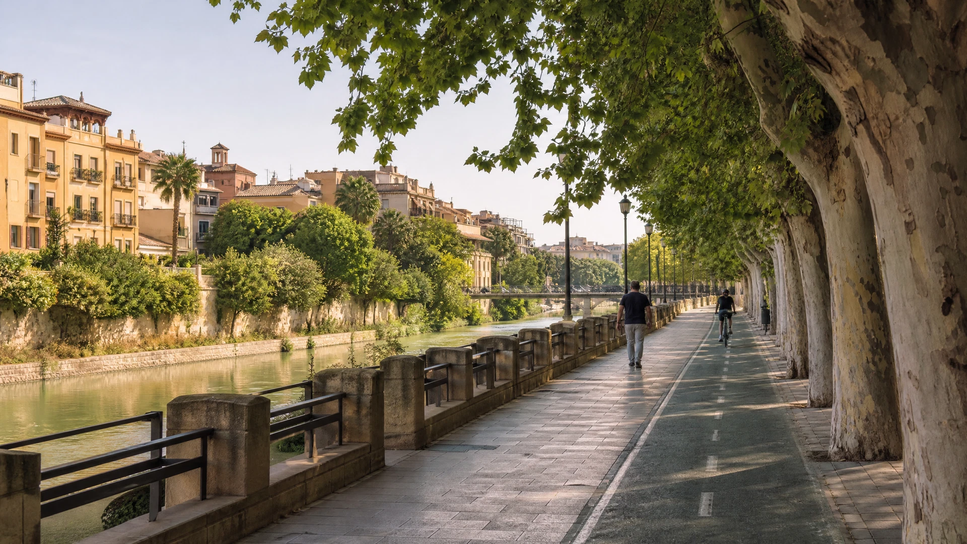 Vista editorial de Murcia