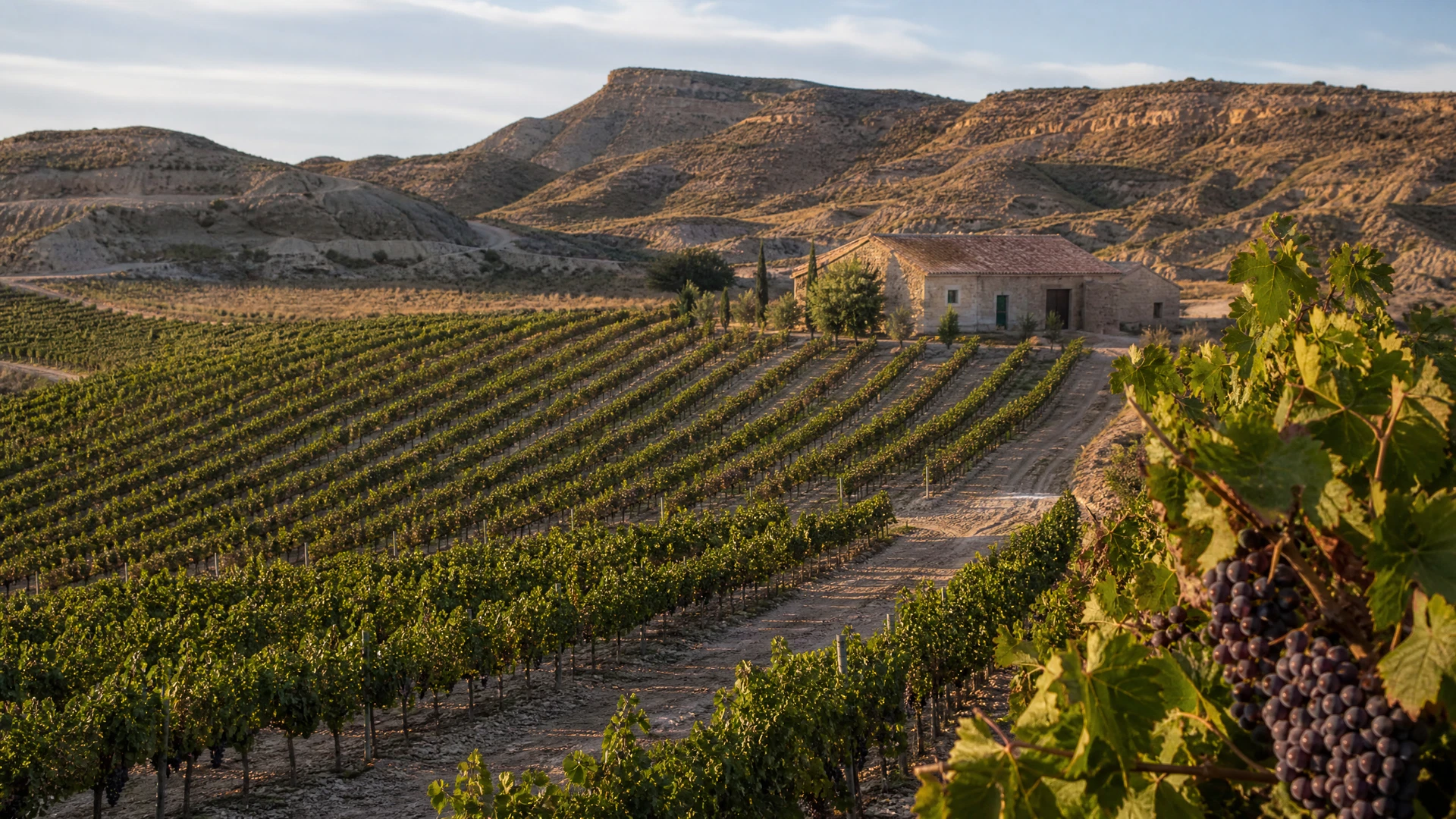 Vista editorial de Jumilla